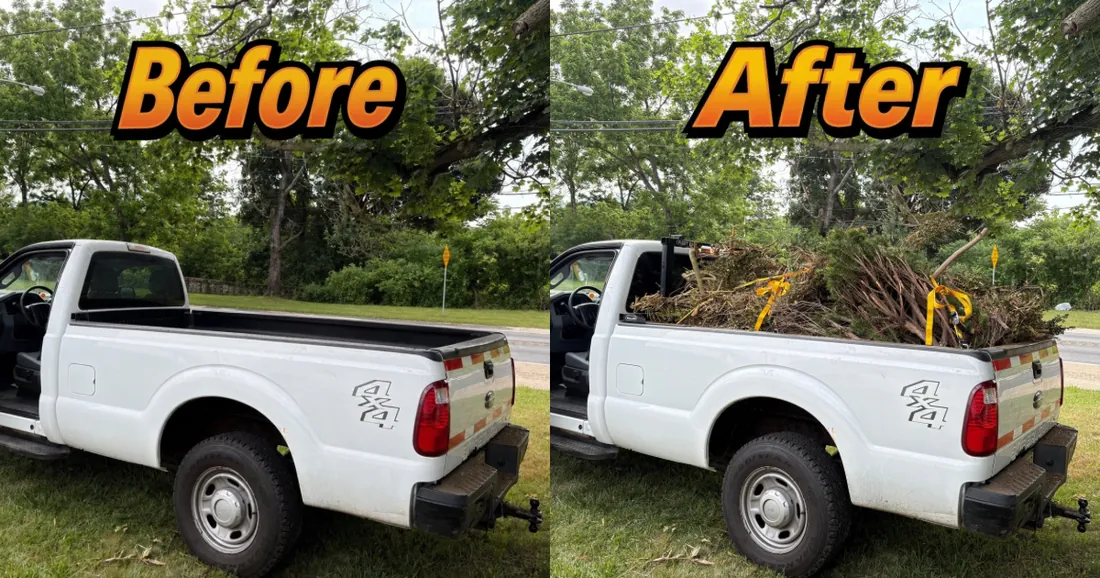 Before and after — yard debris removal